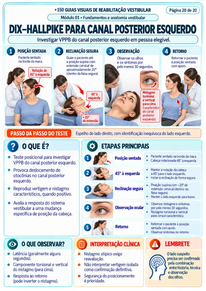 Exemplo de guia visual 7